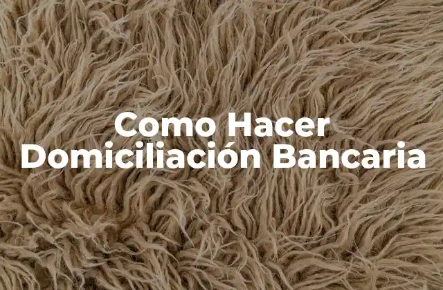 Como Hacer Domiciliación Bancaria