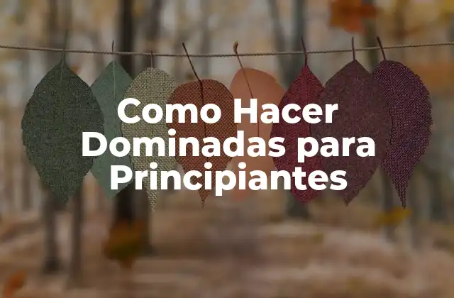Como Hacer Dominadas para Principiantes