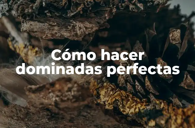 Cómo Hacer Dominadas Perfectas 2 ¿Qué son las dominadas perfectas?