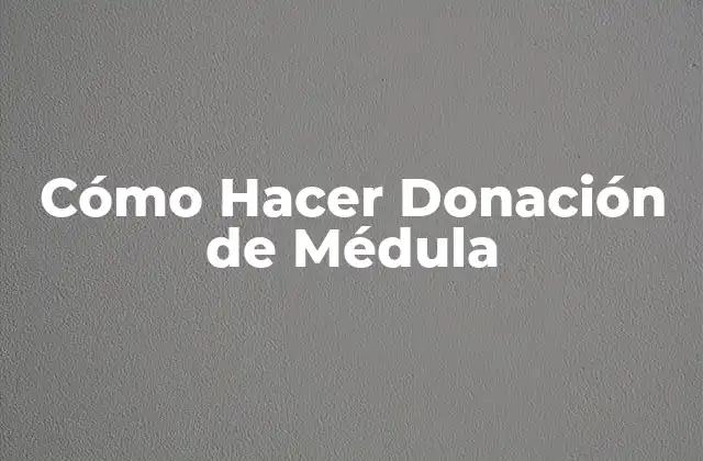 Cómo Hacer Donación de Médula 2 ¿Qué es la Donación de Médula Ósea?