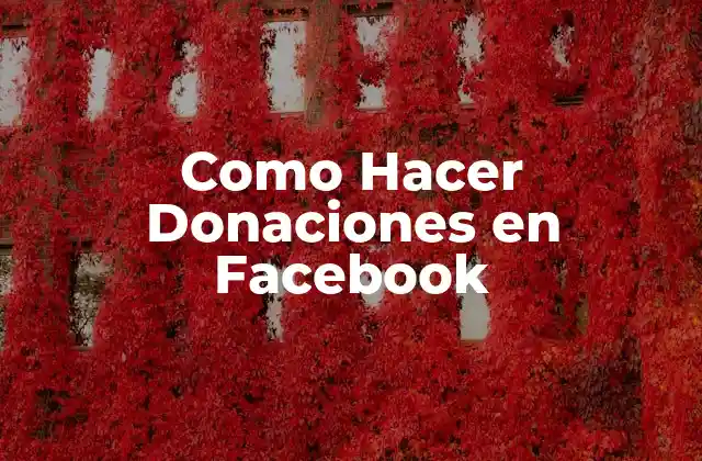 Como Hacer Donaciones en Facebook 2 ¿Qué son las Donaciones en Facebook?
