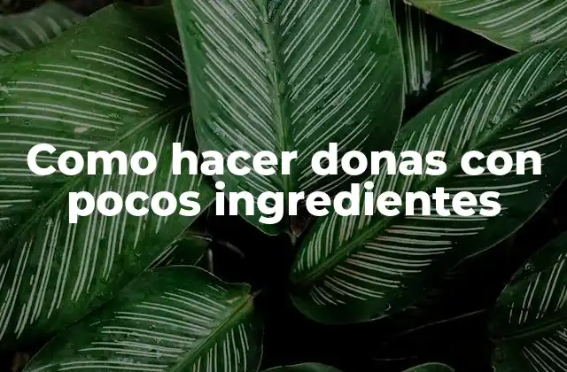 Como Hacer Donas con Pocos Ingredientes