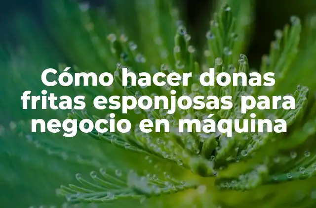 Cómo Hacer Donas Fritas Esponjosas para Negocio en Máquina