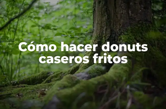 Cómo Hacer Donuts Caseros Fritos