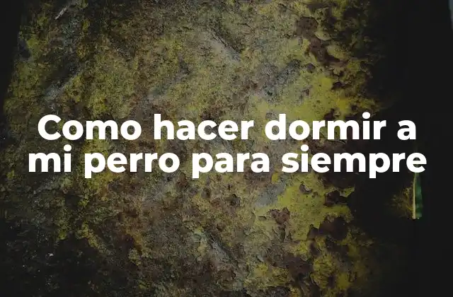 Como Hacer Dormir a Mi Perro para Siempre