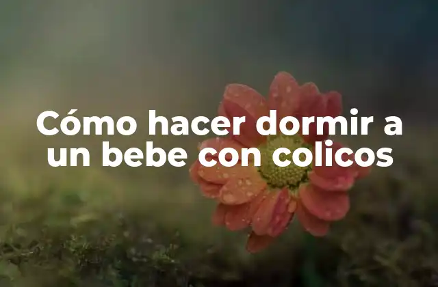 Cómo Hacer Dormir a un Bebe con Colicos