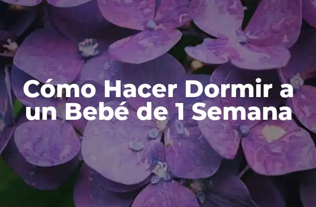 Cómo Hacer Dormir a un Bebé de 1 Semana 2 Cómo Hacer Dormir a un Bebé de 1 Semana