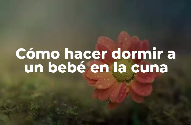 Cómo Hacer Dormir a un Bebé en la Cuna