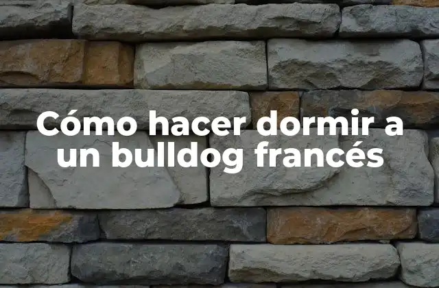 Cómo Hacer Dormir a un Bulldog Francés