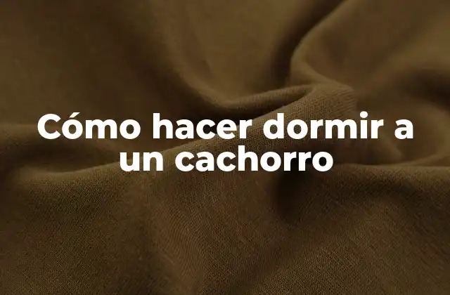 Cómo Hacer Dormir a un Cachorro