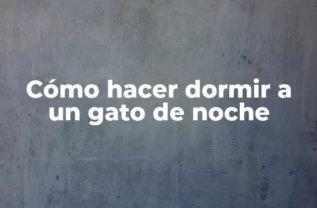 Cómo Hacer Dormir a un Gato de Noche