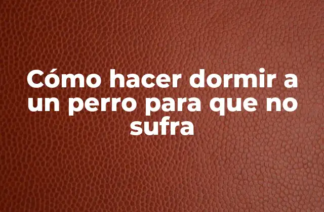 Cómo Hacer Dormir a un Perro para que No Sufra