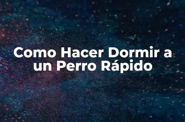 Como Hacer Dormir a un Perro Rápido