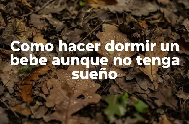 Como Hacer Dormir un Bebe Aunque No Tenga Sueño