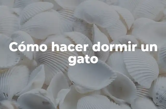 Cómo Hacer Dormir un Gato