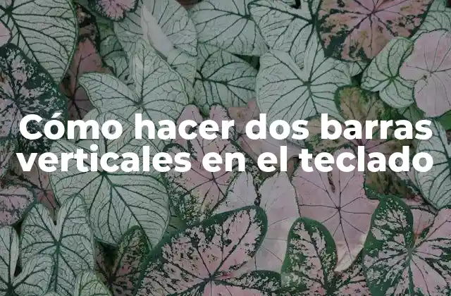 Cómo Hacer Dos Barras Verticales en el Teclado