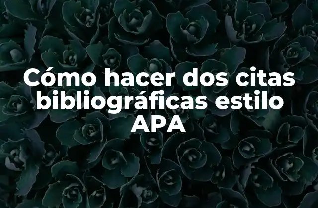 Cómo Hacer Dos Citas Bibliográficas Estilo Apa 2 Citas bibliográficas estilo APA