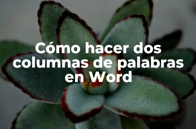 Cómo Hacer Dos Columnas de Palabras en Word