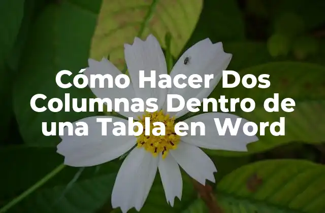 Cómo Hacer Dos Columnas Dentro de una Tabla en Word 2 ¿Qué es una Tabla en Word y Cómo se Usa?