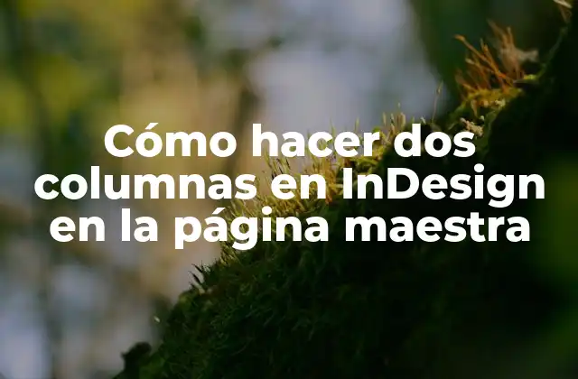 Cómo Hacer Dos Columnas en Indesign en la Página Maestra