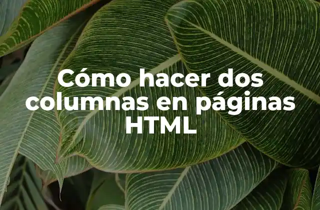 Cómo Hacer Dos Columnas en Páginas Html