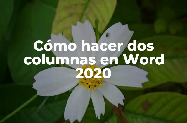 Cómo Hacer Dos Columnas en Word 2020