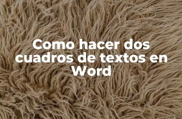 Como Hacer Dos Cuadros de Textos en Word
