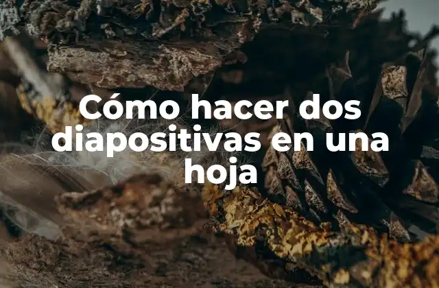 Cómo Hacer Dos Diapositivas en una Hoja