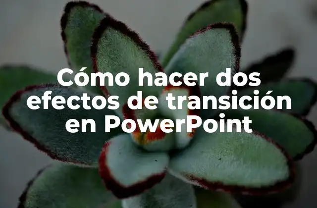 Cómo hacer dos efectos de transición en PowerPoint