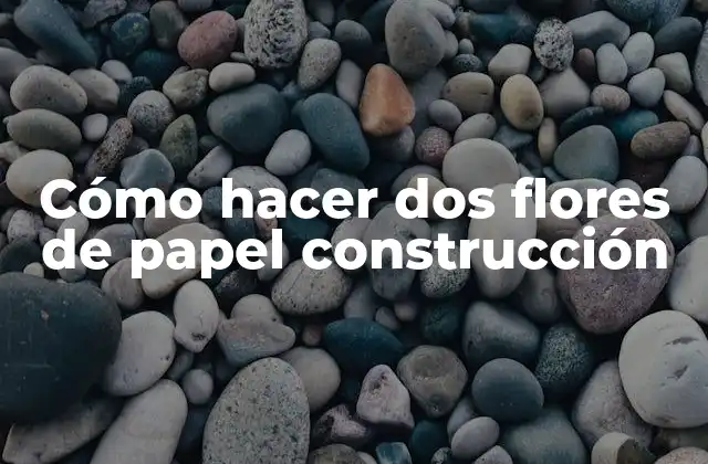 Cómo Hacer Dos Flores de Papel Construcción