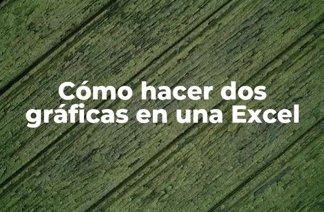 Cómo Hacer Dos Gráficas en una Excel 2 Cómo hacer dos gráficas en una Excel