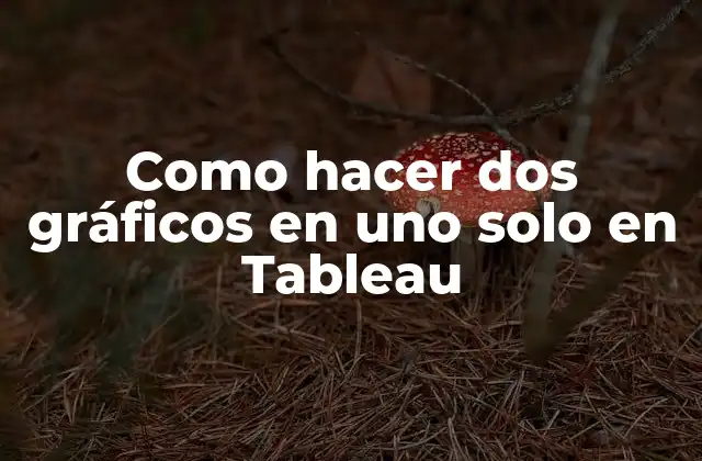 Como Hacer Dos Gráficos en Uno Solo en Tableau