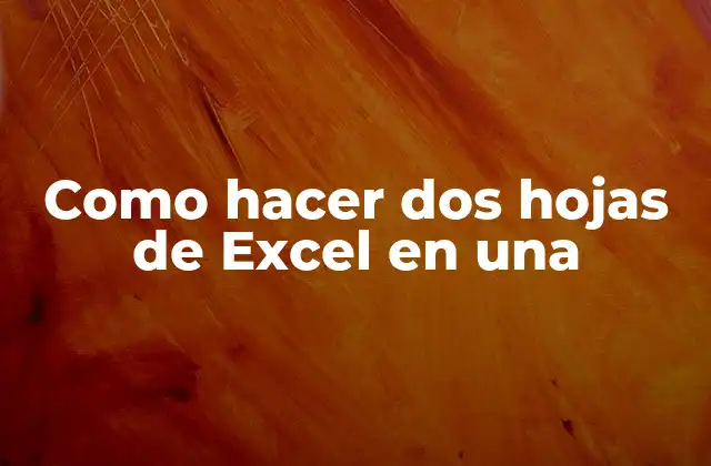 Como Hacer Dos Hojas de Excel en una