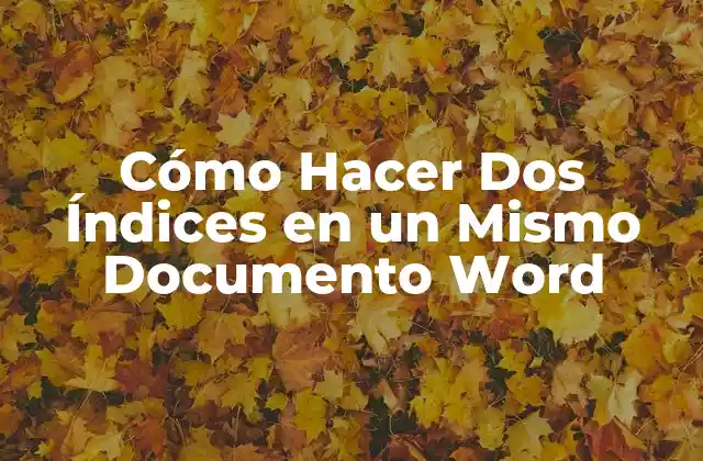Cómo Hacer Dos Índices en un Mismo Documento Word