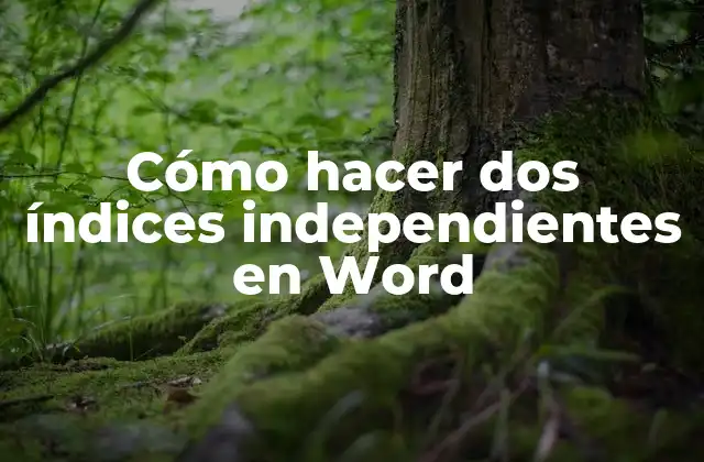 Cómo Hacer Dos Índices Independientes en Word