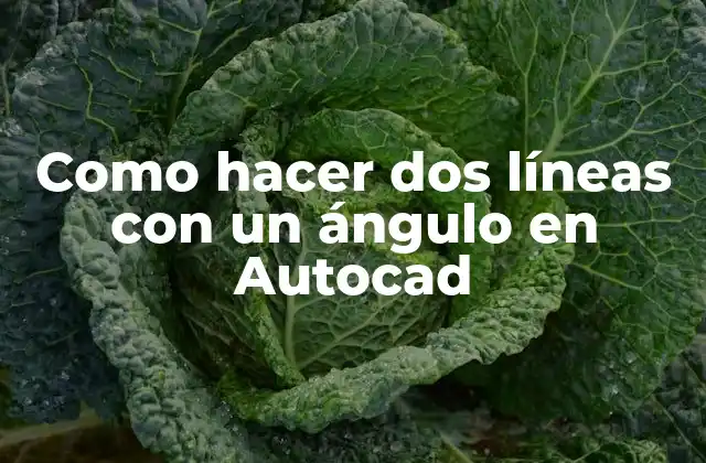 Como Hacer Dos Líneas con un Ángulo en Autocad