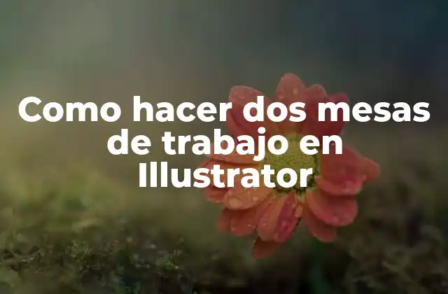 Como Hacer Dos Mesas de Trabajo en Illustrator 2 Como hacer dos mesas de trabajo en Illustrator