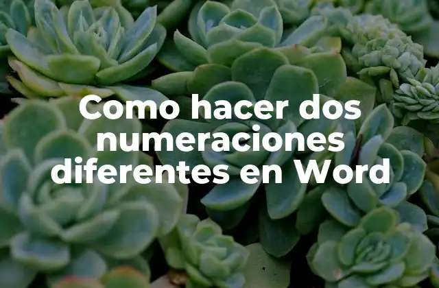 Como Hacer Dos Numeraciones Diferentes en Word