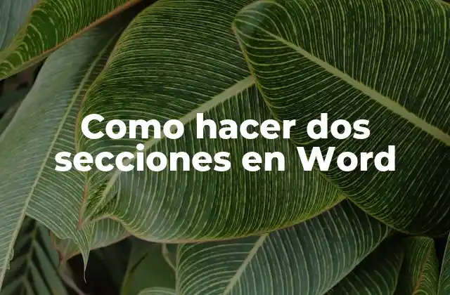 Como Hacer Dos Secciones en Word