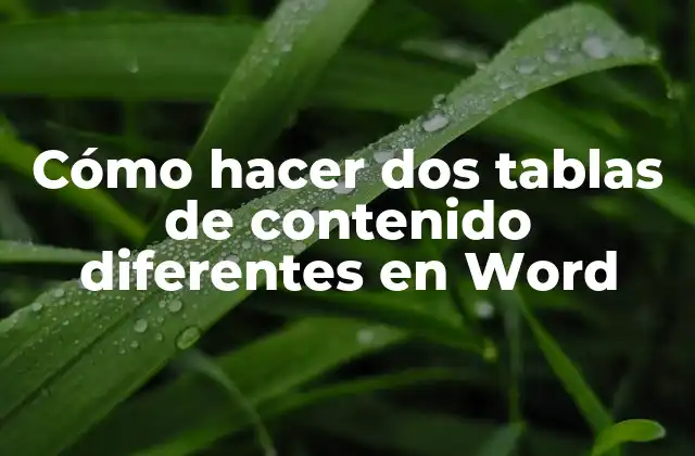 Cómo Hacer Dos Tablas de Contenido Diferentes en Word