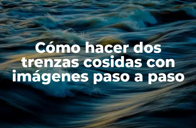 Cómo Hacer Dos Trenzas Cosidas con Imágenes Paso a Paso
