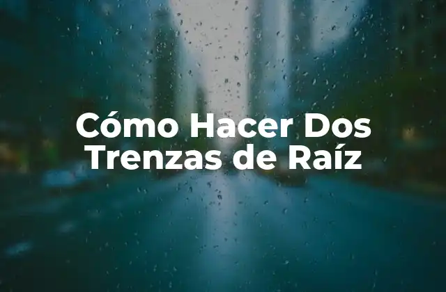 Cómo Hacer Dos Trenzas de Raíz