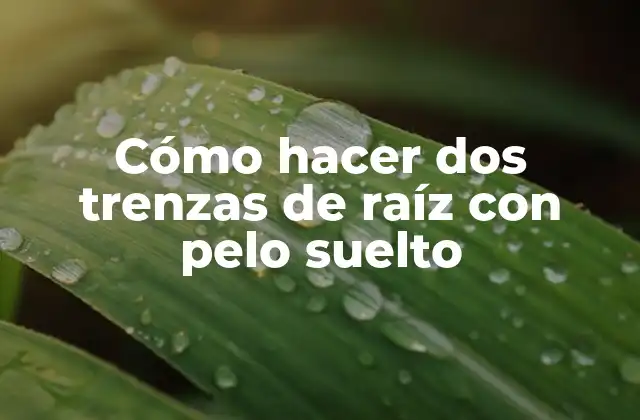 Cómo Hacer Dos Trenzas de Raíz con Pelo Suelto