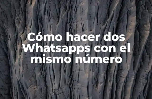Cómo Hacer Dos Whatsapps con el Mismo Número