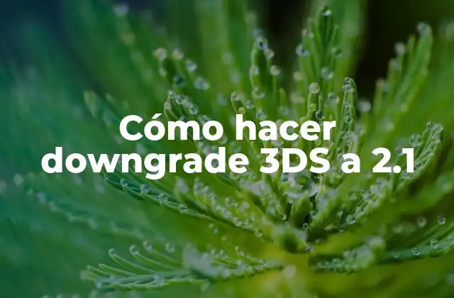 Cómo Hacer Downgrade 3ds a 2.1