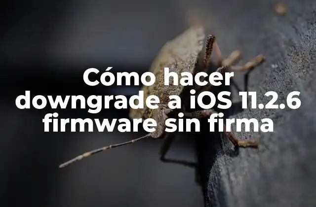 Cómo Hacer Downgrade a Ios 11.2.6 Firmware sin Firma