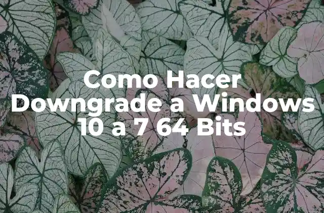 Como Hacer Downgrade a Windows 10 a 7 64 Bits