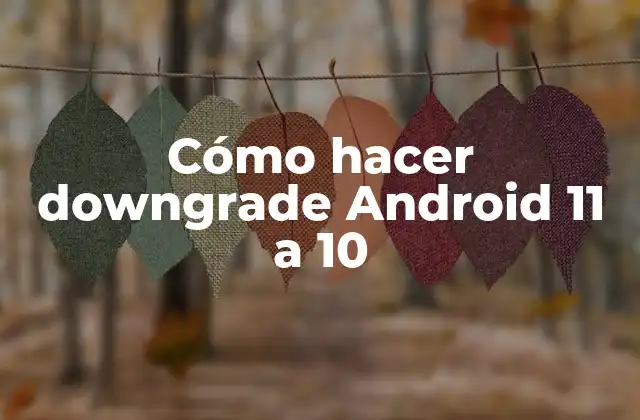 Cómo Hacer Downgrade Android 11 a 10 2 Cómo hacer downgrade Android 11 a 10