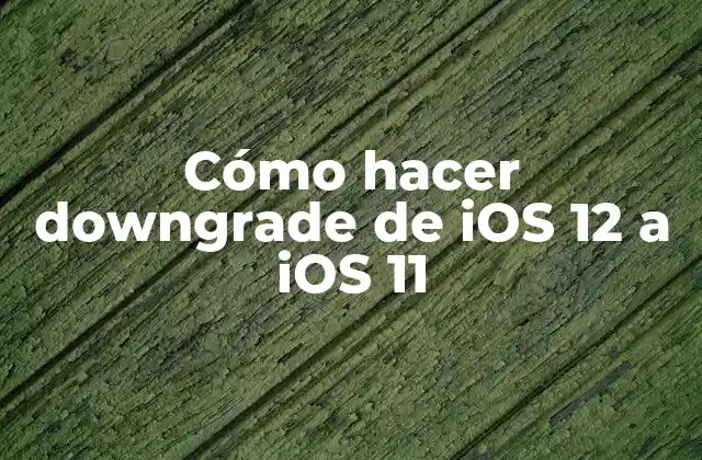 Cómo Hacer Downgrade de Ios 12 a Ios 11