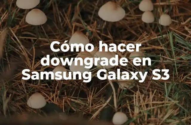 Cómo Hacer Downgrade en Samsung Galaxy S3